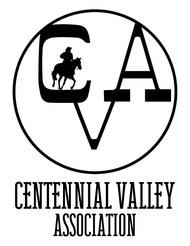 Monitoring Program Image