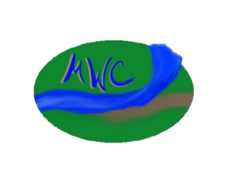 Monitoring Program Image