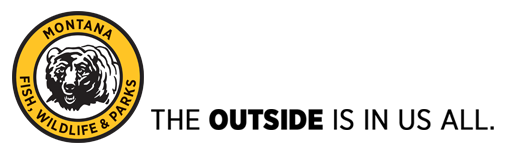 Monitoring Program Image
