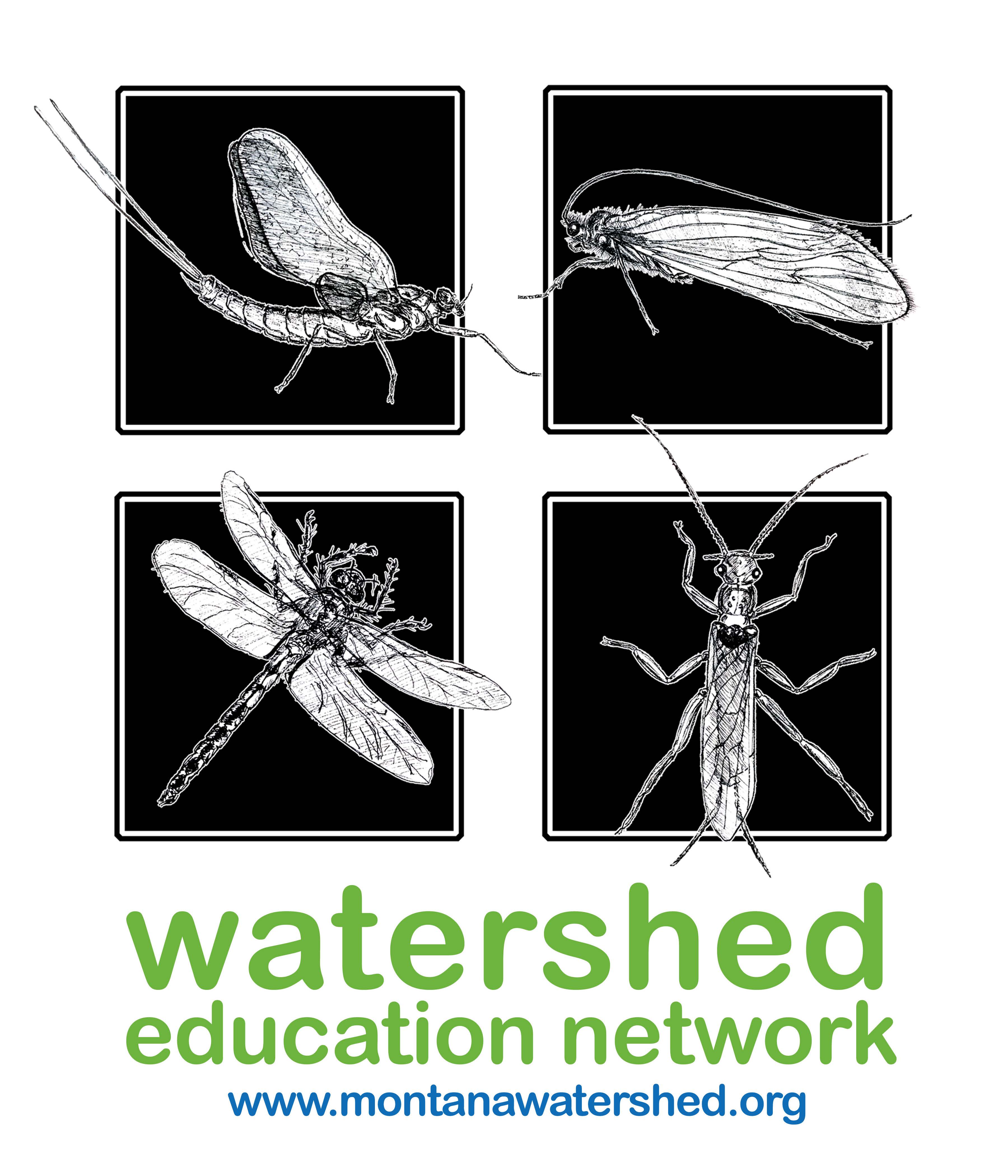 Monitoring Program Image
