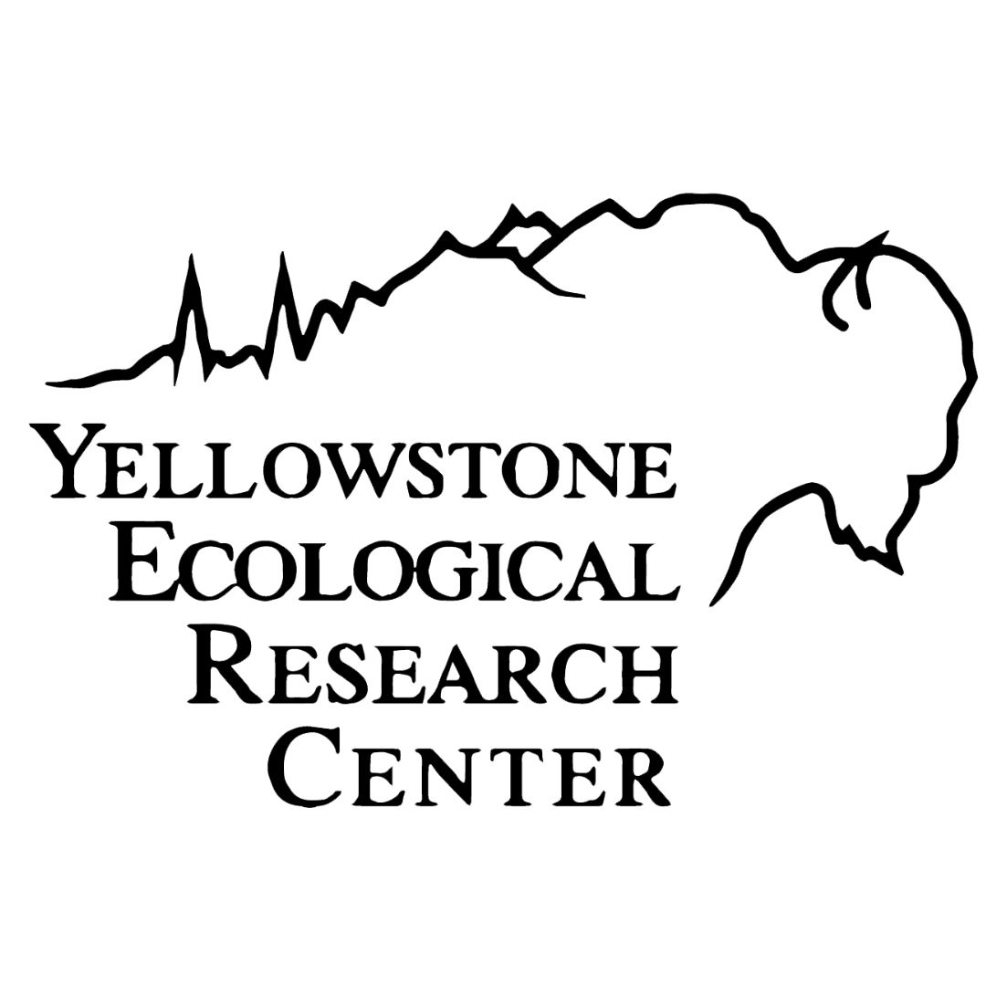 Monitoring Program Image